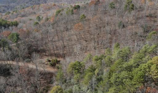 Photo #8 of SOLD property in Off Foley Road, Stuart, VA 6.3 acres