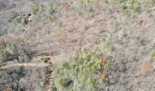 Photo #9 of SOLD property in Off Foley Road, Stuart, VA 6.3 acres