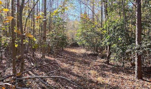 Photo #23 of SOLD property in 3077 Carolina Road, Suffolk, VA 22.0 acres