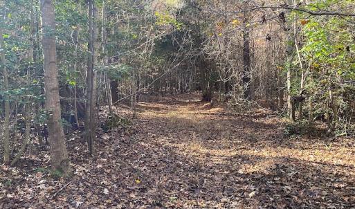 Photo #25 of SOLD property in 3077 Carolina Road, Suffolk, VA 22.0 acres