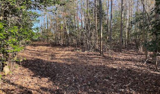 Photo #26 of SOLD property in 3077 Carolina Road, Suffolk, VA 22.0 acres