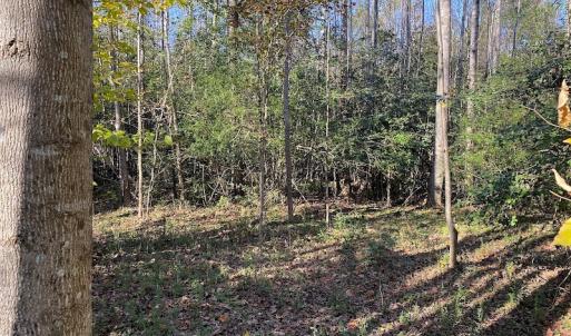 Photo #28 of SOLD property in 3077 Carolina Road, Suffolk, VA 22.0 acres