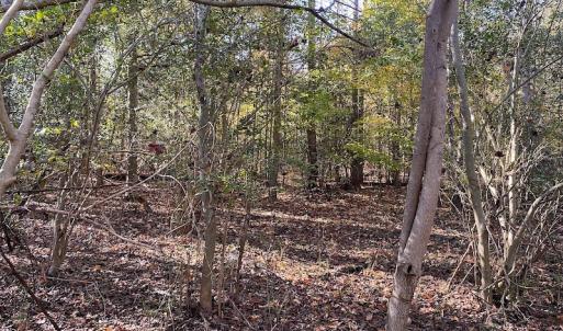 Photo #29 of SOLD property in 3077 Carolina Road, Suffolk, VA 22.0 acres
