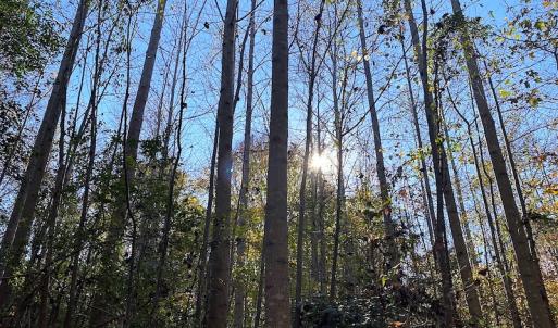Photo #31 of SOLD property in 3077 Carolina Road, Suffolk, VA 22.0 acres