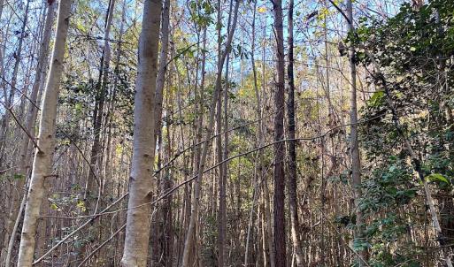 Photo #32 of SOLD property in 3077 Carolina Road, Suffolk, VA 22.0 acres