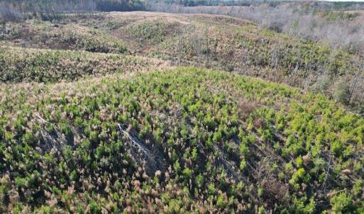 Photo #9 of SOLD property in Off Bunker Hill Road, Heathsville, VA 93.8 acres