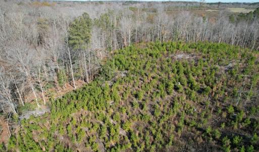 Photo #10 of SOLD property in Off Bunker Hill Road, Heathsville, VA 93.8 acres