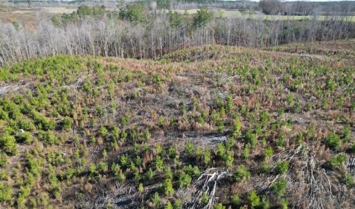 Photo #11 of SOLD property in Off Bunker Hill Road, Heathsville, VA 93.8 acres