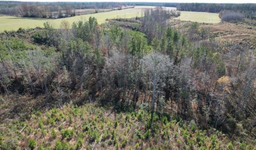 Photo #13 of SOLD property in Off Bunker Hill Road, Heathsville, VA 93.8 acres