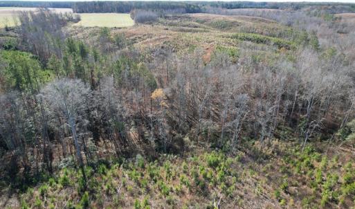 Photo #14 of SOLD property in Off Bunker Hill Road, Heathsville, VA 93.8 acres