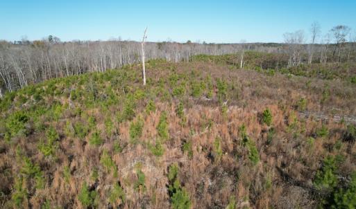 Photo #15 of SOLD property in Off Bunker Hill Road, Heathsville, VA 93.8 acres