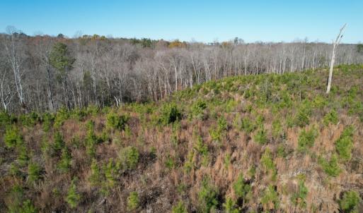 Photo #16 of SOLD property in Off Bunker Hill Road, Heathsville, VA 93.8 acres