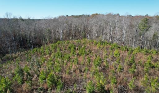 Photo #17 of SOLD property in Off Bunker Hill Road, Heathsville, VA 93.8 acres