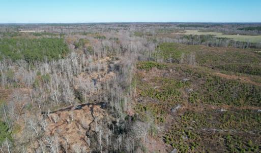 Photo #18 of SOLD property in Off Bunker Hill Road, Heathsville, VA 93.8 acres