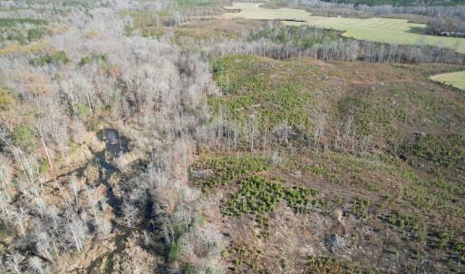 Photo #19 of SOLD property in Off Bunker Hill Road, Heathsville, VA 93.8 acres
