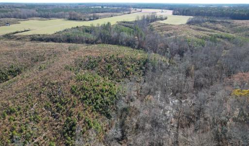Photo #20 of SOLD property in Off Bunker Hill Road, Heathsville, VA 93.8 acres