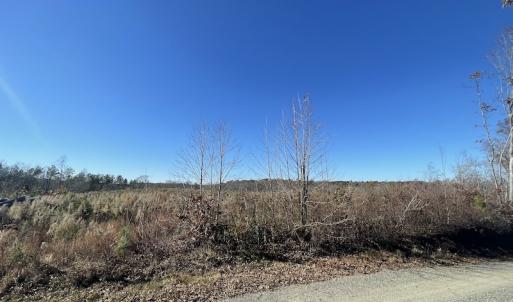 Photo #21 of Off Bunker Hill Road, Heathsville, VA 93.8 acres