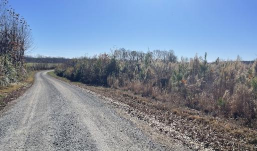 Photo #22 of Off Bunker Hill Road, Heathsville, VA 93.8 acres