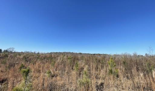 Photo #24 of SOLD property in Off Bunker Hill Road, Heathsville, VA 93.8 acres