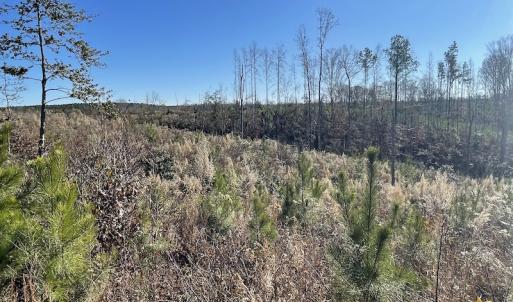 Photo #26 of SOLD property in Off Bunker Hill Road, Heathsville, VA 93.8 acres