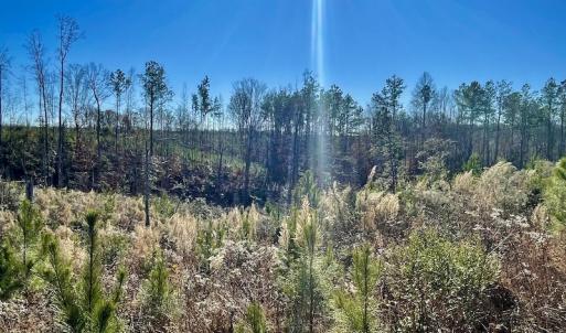 Photo #27 of SOLD property in Off Bunker Hill Road, Heathsville, VA 93.8 acres