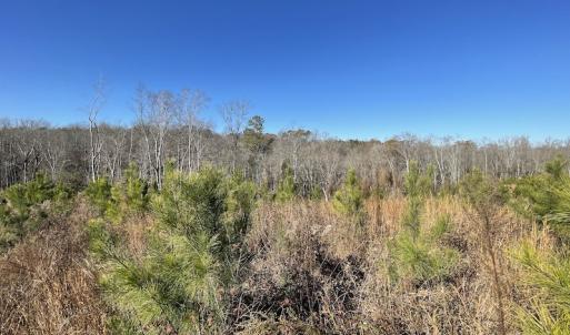 Photo #28 of SOLD property in Off Bunker Hill Road, Heathsville, VA 93.8 acres