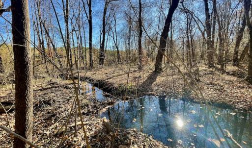 Photo #34 of SOLD property in Off Bunker Hill Road, Heathsville, VA 93.8 acres