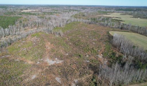 Photo #5 of SOLD property in Off Bunker Hill Road, Heathsville, VA 93.8 acres