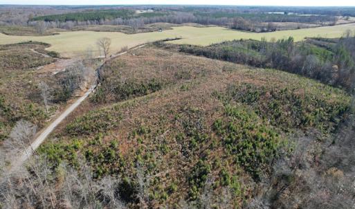 Photo #6 of SOLD property in Off Bunker Hill Road, Heathsville, VA 93.8 acres