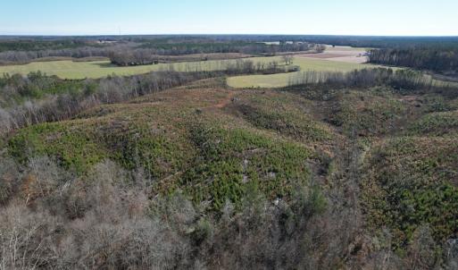 Photo #7 of SOLD property in Off Bunker Hill Road, Heathsville, VA 93.8 acres