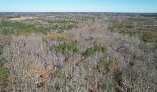Photo #8 of SOLD property in Off Bunker Hill Road, Heathsville, VA 93.8 acres