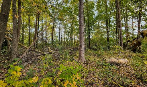 Photo #8 of SOLD property in 5511 Rainbow Street, McLeansville, NC 0.4 acres
