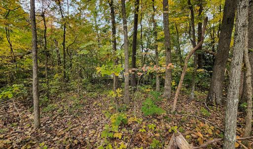 Photo #9 of SOLD property in 5511 Rainbow Street, McLeansville, NC 0.4 acres