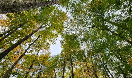 Photo #14 of SOLD property in 5511 Rainbow Street, McLeansville, NC 0.4 acres