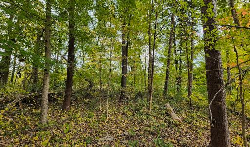 Photo #10 of SOLD property in 5511 Rainbow Street, McLeansville, NC 0.4 acres