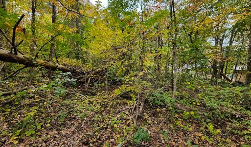 Photo #11 of SOLD property in 5511 Rainbow Street, McLeansville, NC 0.4 acres