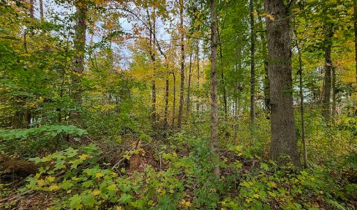 Photo #12 of SOLD property in 5511 Rainbow Street, McLeansville, NC 0.4 acres