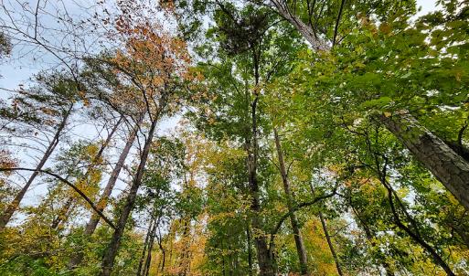 Photo #13 of SOLD property in 5511 Rainbow Street, McLeansville, NC 0.4 acres
