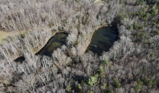 Photo #12 of SOLD property in 3168 Old Mill Road, Patrick Springs, VA 136.5 acres