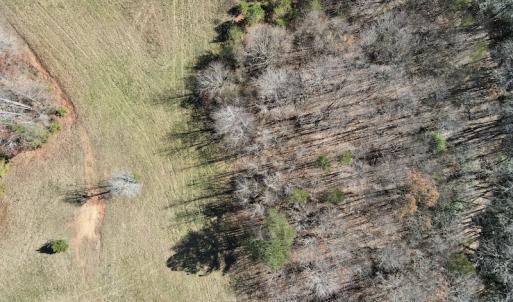 Photo #15 of SOLD property in 3168 Old Mill Road, Patrick Springs, VA 136.5 acres