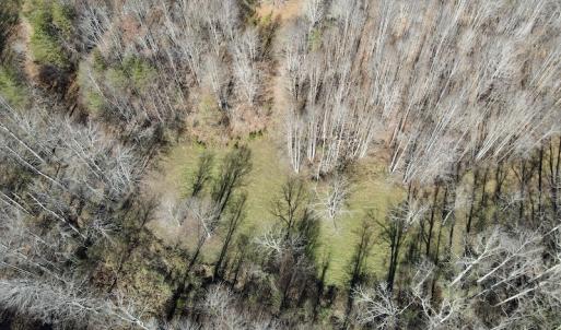 Photo #19 of SOLD property in 3168 Old Mill Road, Patrick Springs, VA 136.5 acres