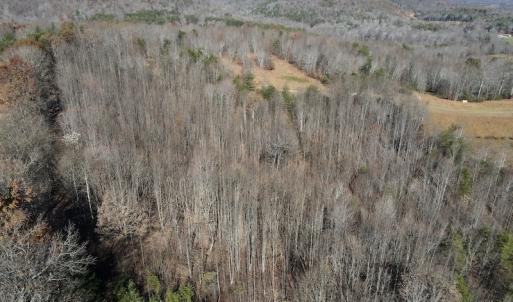 Photo #23 of SOLD property in 3168 Old Mill Road, Patrick Springs, VA 136.5 acres
