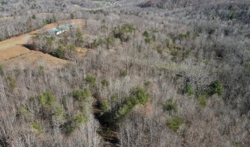 Photo #24 of SOLD property in 3168 Old Mill Road, Patrick Springs, VA 136.5 acres