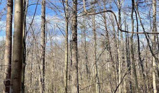 Photo #28 of SOLD property in 3168 Old Mill Road, Patrick Springs, VA 136.5 acres