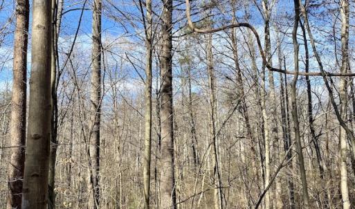 Photo #28 of SOLD property in 3168 Old Mill Road, Patrick Springs, VA 136.5 acres