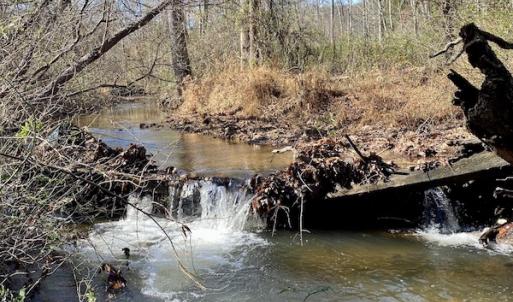 Photo #29 of SOLD property in 3168 Old Mill Road, Patrick Springs, VA 136.5 acres