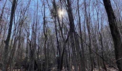 Photo #31 of SOLD property in 3168 Old Mill Road, Patrick Springs, VA 136.5 acres