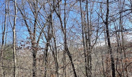 Photo #32 of SOLD property in 3168 Old Mill Road, Patrick Springs, VA 136.5 acres