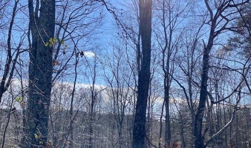 Photo #33 of SOLD property in 3168 Old Mill Road, Patrick Springs, VA 136.5 acres
