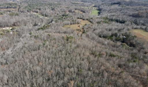 Photo #8 of SOLD property in 3168 Old Mill Road, Patrick Springs, VA 136.5 acres